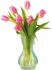 Tulpen im aktuellen Netto mit dem Scottie Prospekt