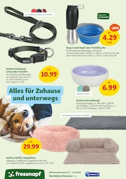 Fressnapf Trinkflasche im Prospekt 