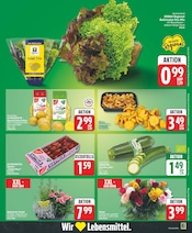 Bio im WEZ Prospekt in Herford Aktueller WEZ Prospekt mit Bio, "Die WEZette", Seite 3