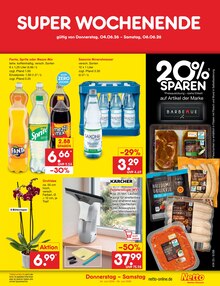 Pflanzen im Netto Marken-Discount Prospekt "Aktuelle Angebote" mit 68 Seiten (Jena)