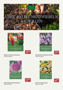 Blumen im aktuellen Pflanzen Kölle Prospekt (Hamburg) Blumen im Pflanzen Kölle Prospekt "DIE BESTEN PREISE FÜR DEN GARTEN" mit 5 Seiten (Hamburg)