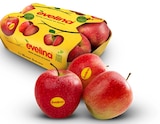 Angebot im Penny Fraureuth Prospekt Penny Fraureuth Prospekt mit im Angebot für 1,69 €