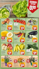 Zucchini Angebote im Prospekt "Dein Markt" von REWE auf Seite 5