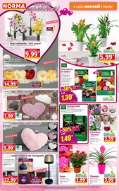 Catalogue Norma en cours à Thionville, "Votre Discounter Régional", Page 4