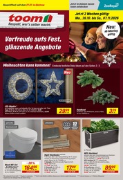toom Baumarkt Prospekt mit 32 Seiten (Sarmstorf)