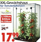 XXL-Gewächshaus für Tomatenpflanzen Angebote von Top Flora bei Wreesmann Dresden für 17,99 €
