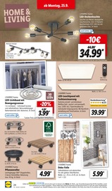 Ähnliches Angebot bei Lidl in Prospekt "LIDL LOHNT SICH" gefunden auf Seite 32