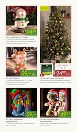 Aktueller Pflanzen Kölle Prospekt mit Lichterkette, "ADVENTS GLANZ", Seite 13