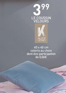 Stokomani Ruelisheim - LE COUSSIN VELOURS Promo LE COUSSIN VELOURS dans le catalogue Stokomani "Stokomani : des marques, des prix..." à Ruelisheim