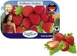 Erdbeeren im Angebot bei REWE in Ettlingen Erdbeeren Angebote bei REWE Ettlingen für 2,99 €