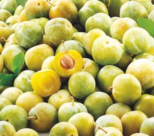 Carrefour Market Douzies Feignies - Prunes reine claude Promo Prunes reine claude dans le catalogue Carrefour Market "La rentrée encore moins chère" à Douzies Feignies