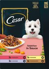 Katze Trockenfutter Hund Multipack Angebote von Crave oder Cesar bei Rossmann Chemnitz für 4,99 €