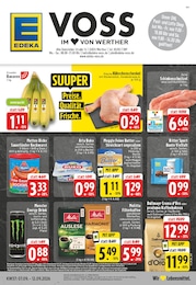 EDEKA Prospekt für Werther mit 28 Seiten EDEKA Prospekt für Werther: "Aktuelle Angebote", 28 Seiten, 07.09.2026 - 12.09.2026