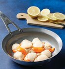 Noix de coquille saint jacques pecten maximus - U - Super U à Montpellier Noix de coquille saint jacques pecten maximus - U en promo chez Super U Montpellier à 10,90 €