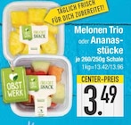 Melonen Trio Angebote von OBST WERK bei E center Regensburg für 3,49 €