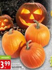 Speisekürbis Halloween im Angebot bei EDEKA in Krefeld Speisekürbis Halloween Angebote bei EDEKA Krefeld für 3,99 €