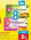 Pfefferminze Angebote von Teekanne bei Netto Marken-Discount Potsdam für 2,00 €