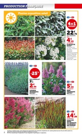 Bricolage Angebote im Prospekt "LES PRIX BAS Spécial jardin d'automne" von Hyper U auf Seite 2