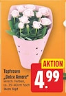 Topfrosen "Dolce Amore" für 4,99 € bei E center im Angebot Topfrosen "Dolce Amore" im aktuellen E center Prospekt