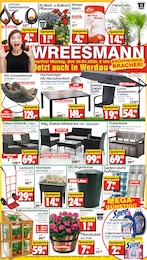 Wreesmann Prospekt mit 16 Seiten (Werdau)