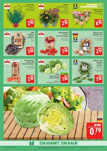 Blumen im Marktkauf Prospekt "AUSWAHL RIESIG, PREISE NIEDRIG" mit 46 Seiten (Nürnberg)