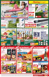 Aktueller Norma Prospekt mit Kaffee, "Mehr fürs Geld", Seite 5