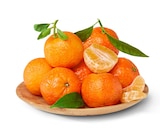 Blatt-Goldschätze Clementinen von Best Moments für 1,99 € bei Penny im Angebot Blatt-Goldschätze Clementinen von Best Moments im aktuellen Penny Prospekt