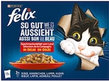 So gut wie es aussieht Katzennassnahrung im Angebot bei Netto mit dem Scottie in Zwickau So gut wie es aussieht Katzennassnahrung Angebote von Felix bei Netto mit dem Scottie Zwickau für 3,99 €