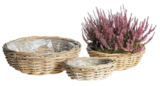 Aktuelles Pflanzschale Klein Angebot bei ROSENGUT Langerwisch in Potsdam ab 4,99 €