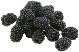 Brombeeren im Angebot bei REWE in Neuss Brombeeren Angebote von REWE Regional bei REWE Neuss für 1,99 €