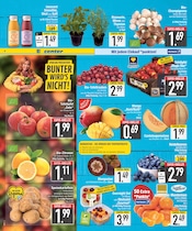 Aktueller EDEKA Prospekt mit Gemüse, "Wir lieben Lebensmittel.", Seite 2