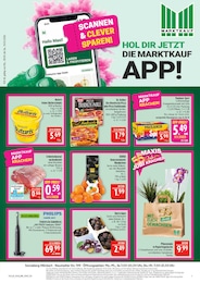 Marktkauf Prospekt für Coburg mit 44 Seiten Marktkauf Prospekt für Coburg: "AUSWAHL RIESIG, PREISE NIEDRIG", 44 Seiten, 05.10.2026 - 10.10.2026