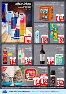 Coca Cola im EDEKA Prospekt "Top Angebote" mit 12 Seiten (Wismar)