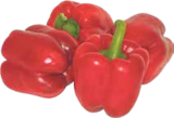 Paprika rot im aktuellen V-Markt Prospekt für 2,99 €