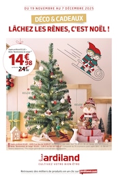 Offre Noël dans le catalogue Jardiland du moment à la page 1