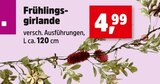 Frühlingsgirlande im aktuellen Thomas Philipps Prospekt