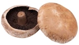 Portobello Pilze Angebot im REWE Prospekt Portobello Pilze im REWE Prospekt zum Preis von 2,79 €
