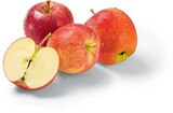 Äpfel rot im Angebot bei Netto Marken-Discount in Dresden Äpfel rot Angebote von HEIMAT bei Netto Marken-Discount Dresden für 1,49 €