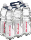 Mineralwasser still oder feinperlig Angebote von Black Forest bei E center Rostock für 2,65 €