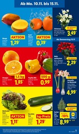 Aktueller Lidl Prospekt mit Garten, "LIDL LOHNT SICH", Seite 13