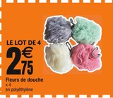Fleurs de douche en promo chez Cora Lille à 2,75 €
