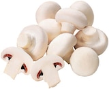Weiße Champignons im Angebot bei REWE in Recklinghausen Weiße Champignons Angebote bei REWE Recklinghausen für 1,59 €