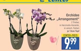Orchidee Arrangement von  im aktuellen EDEKA Prospekt für 9,99 €