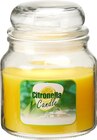 Aktuelles Citronella-Kerze Angebot bei Thomas Philipps in Duisburg ab 3,98 €