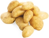 Naturland im REWE Prospekt Bio Speisekartoffeln von Naturland im aktuellen REWE Prospekt für 1,29 €