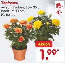 Topfrosen bei Netto Marken-Discount in Pforzheim Topfrosen im Angebot bei Netto Marken-Discount Pforzheim für 1,99 €
