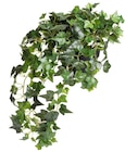 Aktuelles Topfpflanzen aus Kunstmaterialien Angebot bei Rusta in Bremen ab 7,99 €