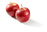 Rote Äpfel im Angebot bei Lidl in Heidelberg Rote Äpfel Angebote bei Lidl Heidelberg für 2,19 €