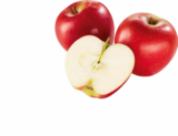 Apfel rot von  im aktuellen Netto Marken-Discount Prospekt für 1,79 €
