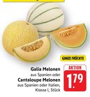 EDEKA Mannheim - Galia Melonen Angebot im Prospekt Galia Melonen bei EDEKA im Mannheim Prospekt für 1,79 €